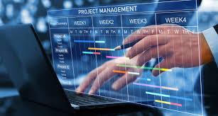 Project Management and Human Resources